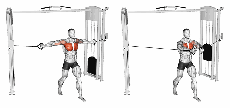 01881101 Cable Middle Fly Chest Fix Medium