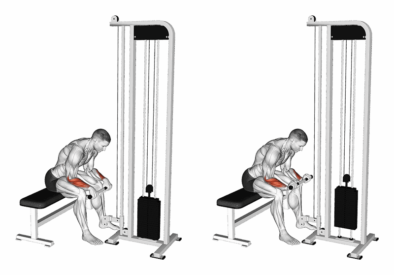 02101101 Cable Reverse Wrist Curl Forearms Fix Medium