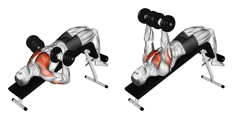 03011101 Dumbbell Decline Bench Press Chest Fix Medium