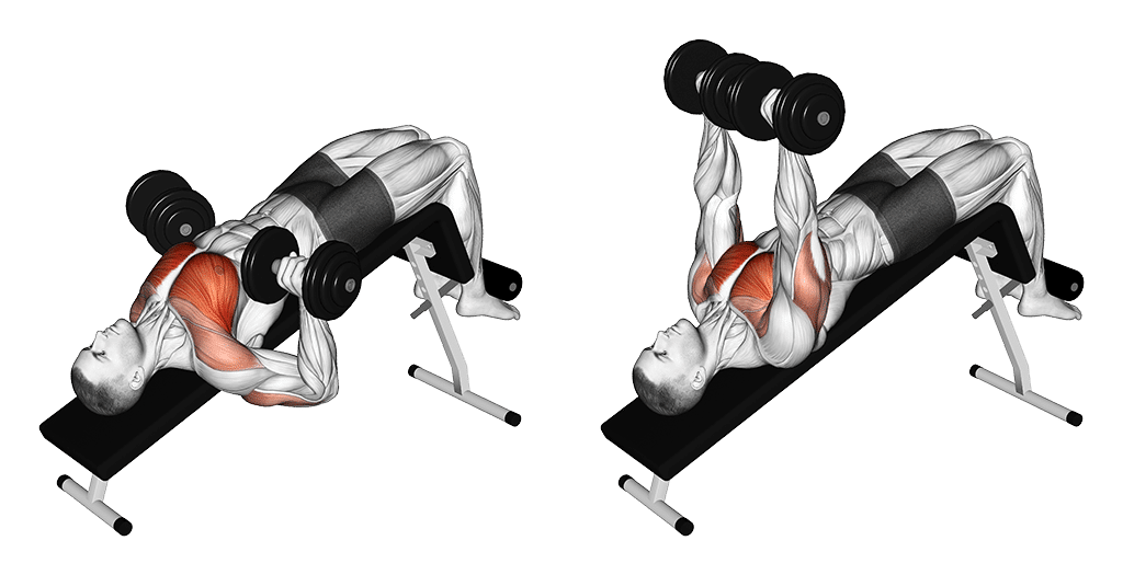 03011101 Dumbbell Decline Bench Press Chest Fix Medium