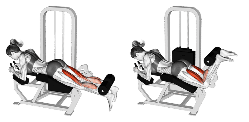 Leg Curls Im Liegen