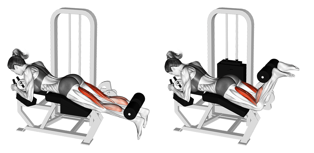 Leg Curls Im Liegen