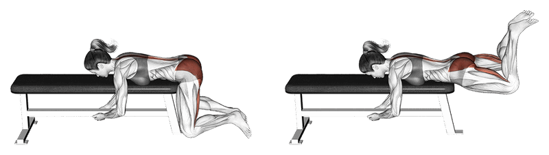 Reverese Hyperextension Auf Der Bank