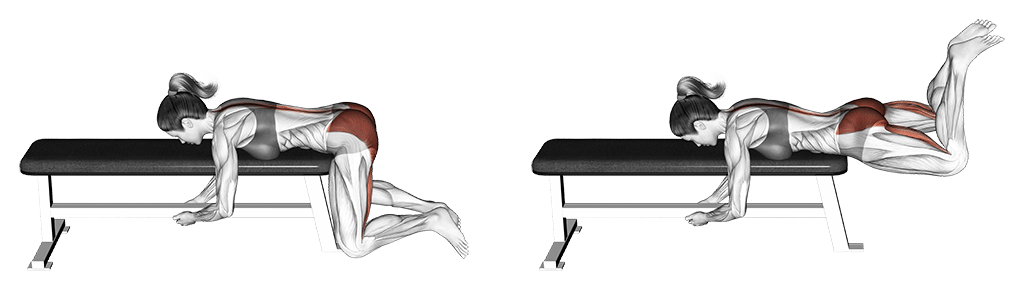 Reverese Hyperextension Auf Der Bank