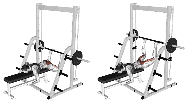 Reverse Hyperextensions An Der Multipresse