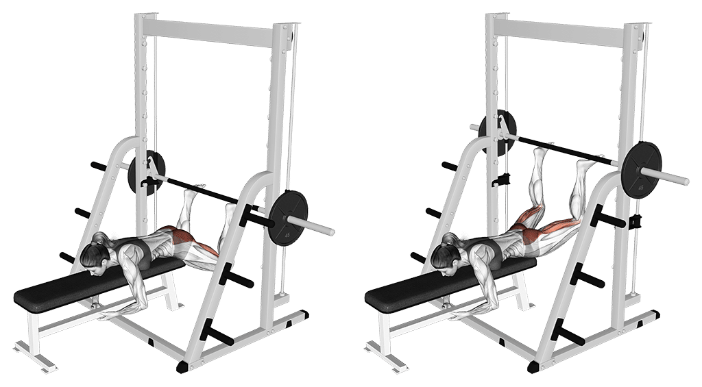 Reverse Hyperextensions An Der Multipresse
