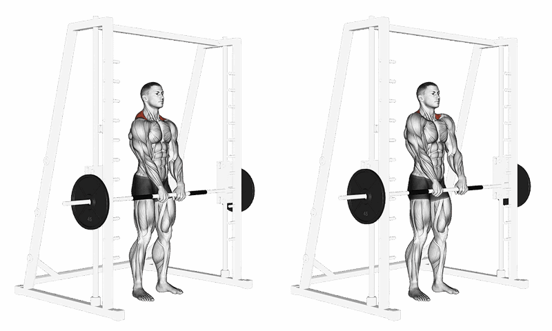 Shrugs An Der Multipresse 1