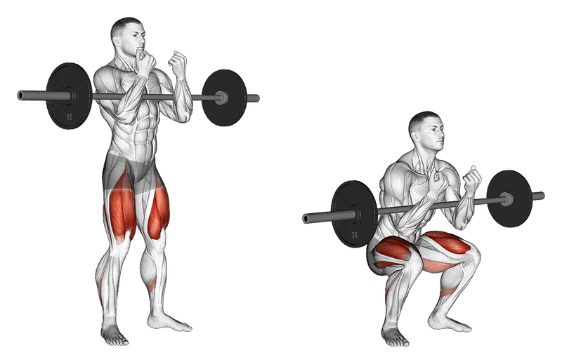 Zercher Squat